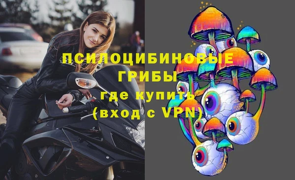 СК Каменск-Шахтинский