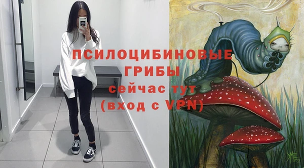 прущая мука Каменка